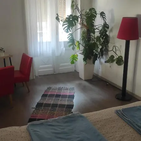 ホステル Brand *